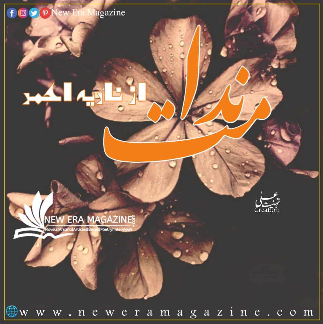 Nidamat by Nadia Ahmed Complete